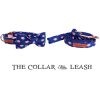 Bow Collar and Leash