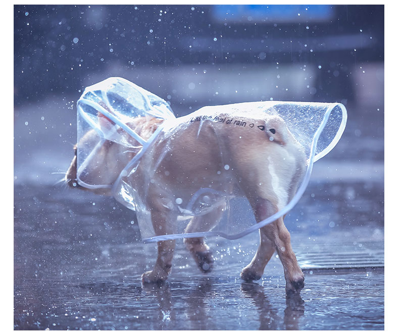 Dog Raincoat